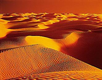 《消逝的光芒2》Steam新史低促销 售价199元