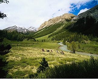 《巫师4》让众人期待 CDPR跻身欧洲最有价值公司之一